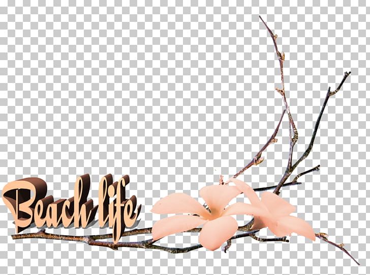 Flower PNG, Clipart, Alain, Angela, Beach, Branch, Cut Flowers Free PNG Download