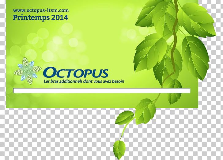 Leaf Herbalism Green Desktop PNG, Clipart, Brand, Computer, Computer Wallpaper, Desktop Wallpaper, Doctor Octopus Free PNG Download