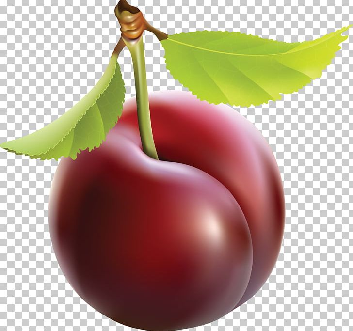 Plum PNG, Clipart, Plum Free PNG Download