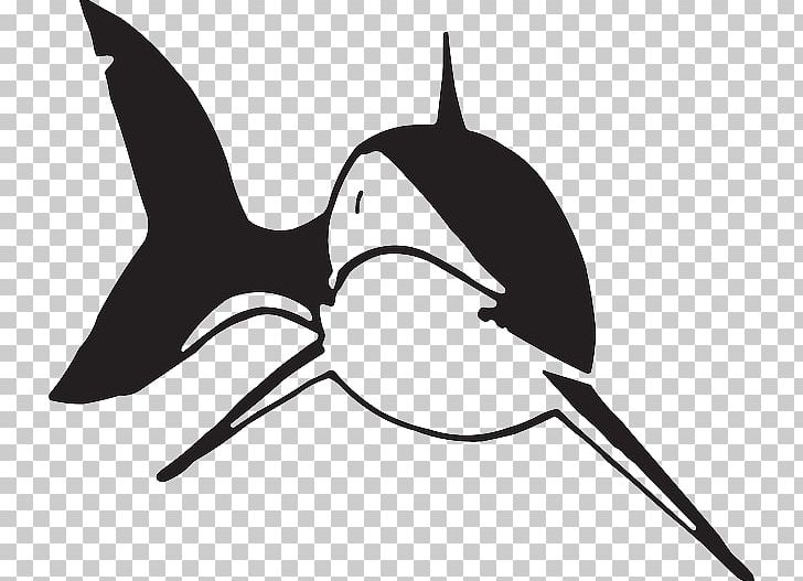 Shark Black And White PNG, Clipart, Animals, Beak, Bird, Black And White, Dolphin Free PNG Download