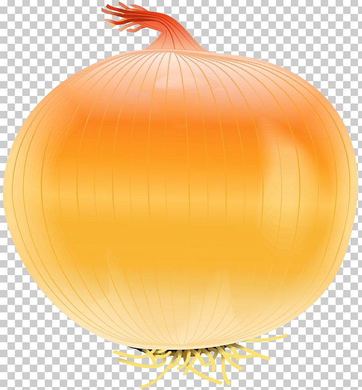 Yellow Onion Vegetable Calabaza PNG, Clipart, Calabaza, Clipart, Clip Art, Cucurbita, Food Free PNG Download