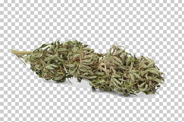 Cannabis Cultivation Tetrahydrocannabinol Hemp Bud PNG, Clipart, Banana Leaves, Biluochun, Bud, Cannabidiol, Cannabis Free PNG Download