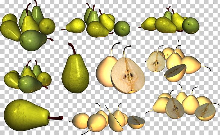 Pear Food Fruit PNG, Clipart, Amygdaloideae, Apple, Food, Fruit, Fruit Nut Free PNG Download