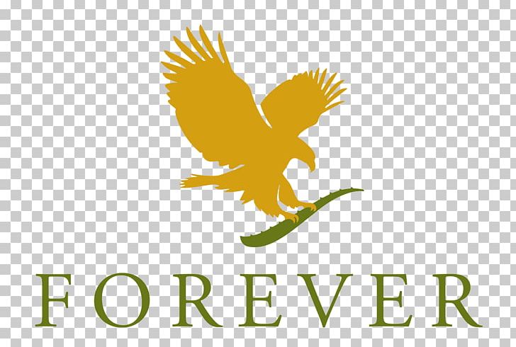 Forever Living Products Scandinavia AB Lotion Aloe Vera Moisturizer PNG, Clipart, Aloe, Aloe Vera, Bird, Business, Computer Wallpaper Free PNG Download