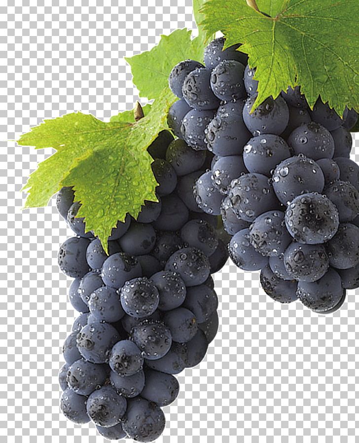 Grape Huyi District PNG, Clipart, Auglis, Blueberry, Computer Icons, Flowering Plant, Food Free PNG Download