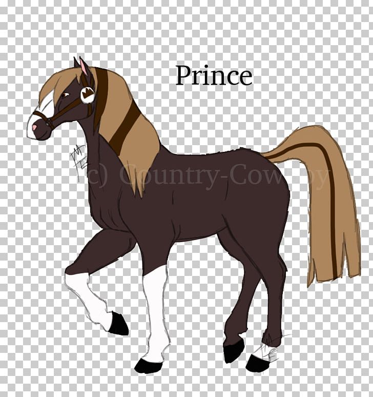 Mane Mustang Foal Stallion Colt PNG, Clipart,  Free PNG Download