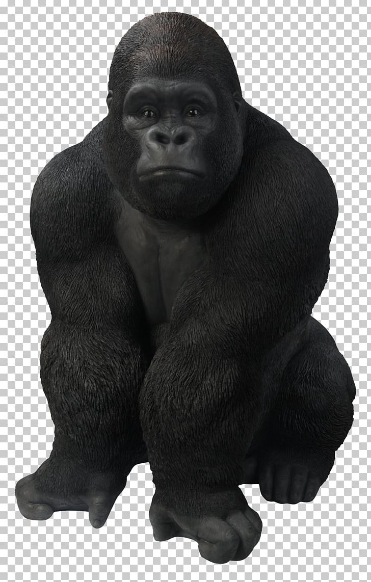 Western Gorilla Common Chimpanzee Ape PNG, Clipart, Ape, Calalog, Chimpanzee, Clip Art, Common Chimpanzee Free PNG Download