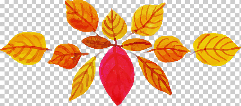 Orange PNG, Clipart, Drawing, Leaf, Orange, Painting, Plants Free PNG Download