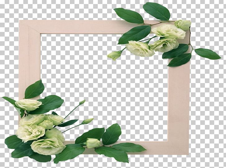 Frames Flower Paper PNG, Clipart, Bi Yanjing, Cut Flowers, Digital Image, Floral Design, Flower Free PNG Download