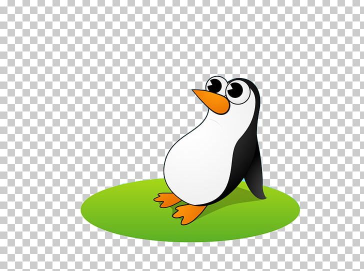 King Penguin Antarctica Bird Cartoon PNG, Clipart, Animal, Animals, Animation, Bird, Boy Cartoon Free PNG Download