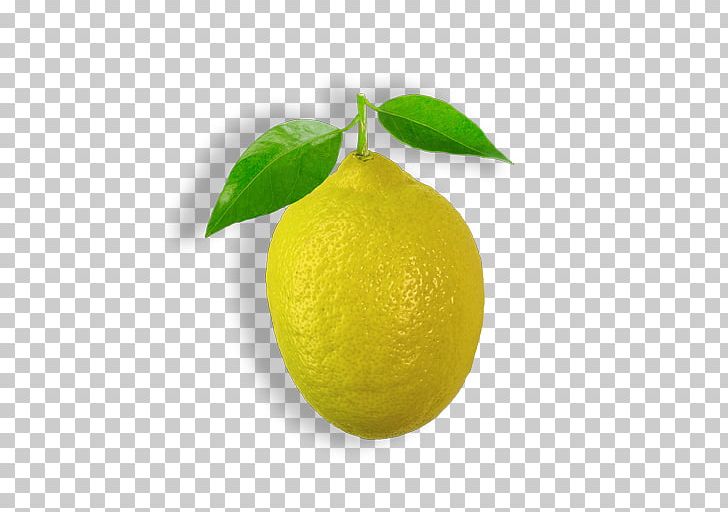 Persian Lime Sweet Lemon Key Lime Citron PNG, Clipart, Bitter Orange, Cellophane, Citric Acid, Citron, Citrus Free PNG Download