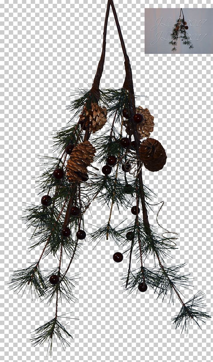 Pine Tree Branch PNG, Clipart, Branch, Christmas Decoration, Christmas Ornament, Conifer, Conifer Cone Free PNG Download