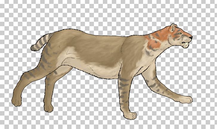 Cougar Lion Cat Pliocene Bear PNG, Clipart, Animal, Animals, Big Cats, Carnivoran, Cat Like Mammal Free PNG Download