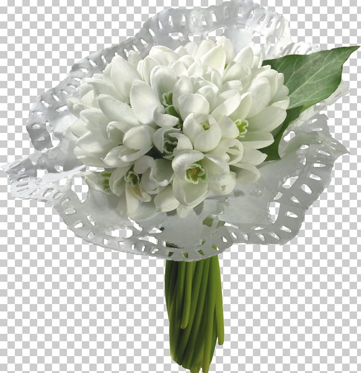 Cape Jasmine Snowdrop Flower Desktop PNG, Clipart, Cape Jasmine, Cut Flowers, Desktop Wallpaper, Floral Design, Floristry Free PNG Download