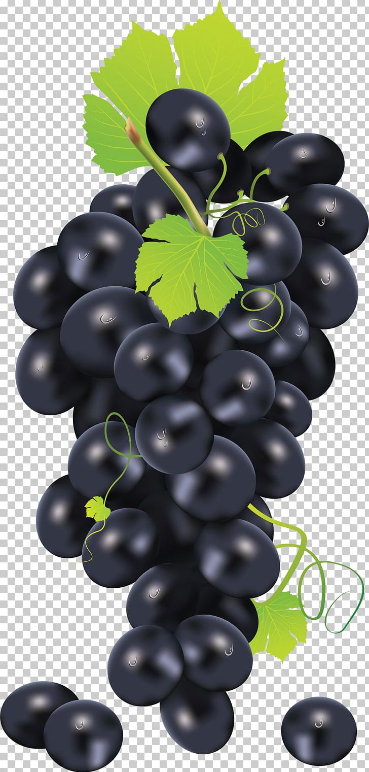 Common Grape Vine Juice PNG, Clipart, Black Grape, Flowering Plant, Food, Free, Fruit Free PNG Download