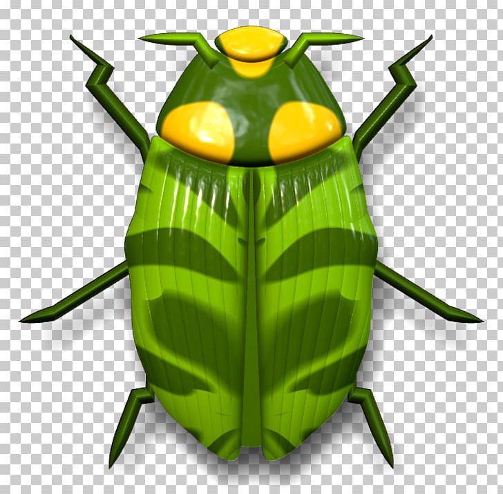 Insect PNG, Clipart, Animal, Animals, Background Green, Beetle, Download Free PNG Download