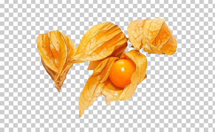 Peruvian Groundcherry Fruit Berry Vegetarian Cuisine Food PNG, Clipart, Auglis, Berry, Chinese Lantern, Dried Fruit, Flagma Free PNG Download