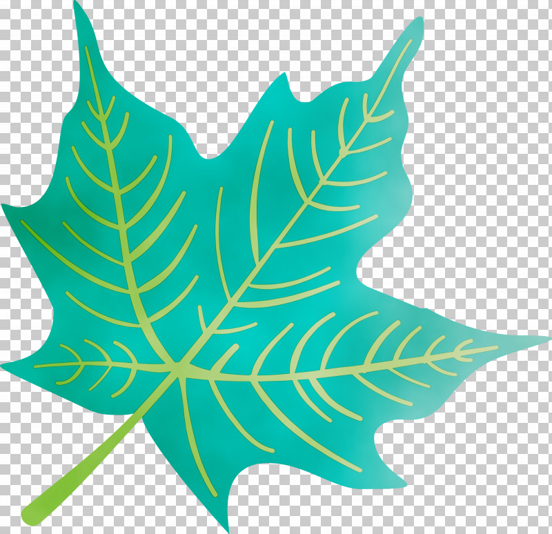 Leaf Symmetry M-tree Tree Science PNG, Clipart, Autumn Leaf, Biology, Colorful Leaf, Colorful Leaves, Colourful Foliage Free PNG Download