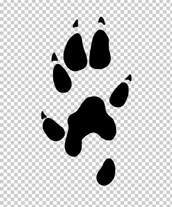 Paw Stoat Desktop PNG, Clipart, Animals, Bear, Black, Black And White, Circle Free PNG Download