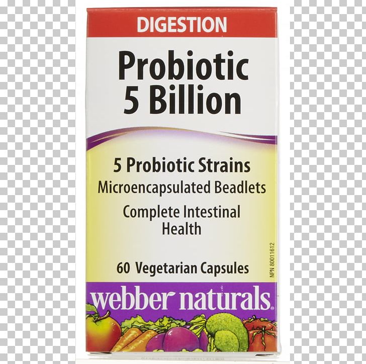 Probiotic Dietary Supplement Health Gut Flora Gastrointestinal Tract PNG, Clipart, Bacteria, Cell, C E Webber, Dietary Supplement, Digestive Enzyme Free PNG Download