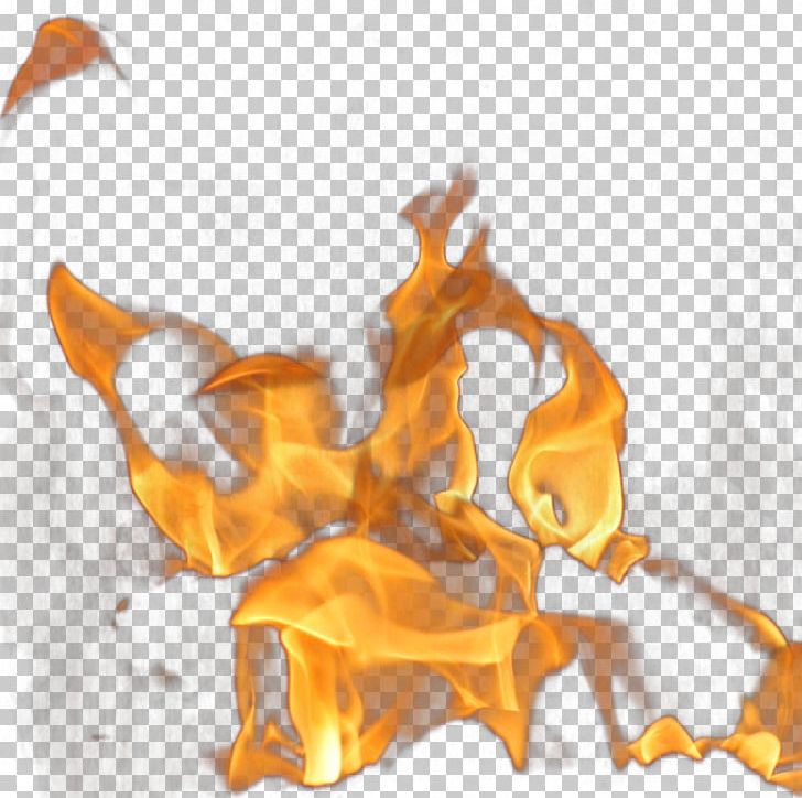 A Group Of Flames PNG, Clipart, Art, Burning It Youth, Burning The Little Universe, Burn It, Carnivoran Free PNG Download