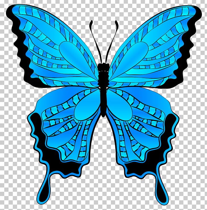 Butterfly Morpho Menelaus PNG, Clipart, Arthropod, Brush Footed Butterfly, Butterflies, Butterflies And Moths, Butterfly Free PNG Download