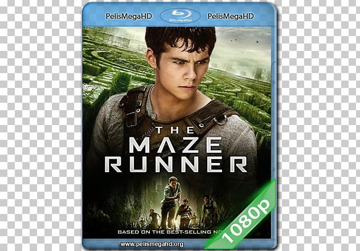 Dylan O'Brien The Maze Runner Blu-ray Disc Ultra HD Blu-ray PNG, Clipart,  Free PNG Download