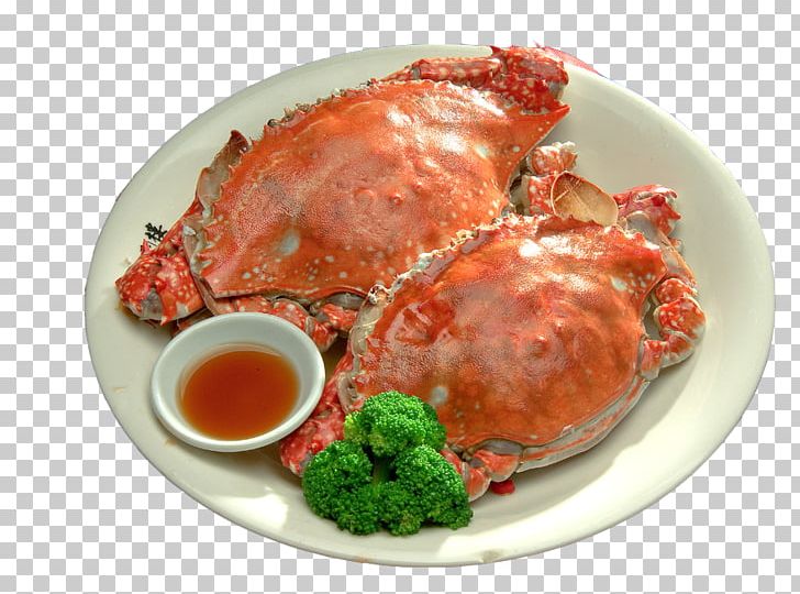 Crab Seafood Portunidae Umami PNG, Clipart, Animal Source Foods, Asian Food, Chicken Meat, Chilli Crab, Chinese Mitten Crab Free PNG Download