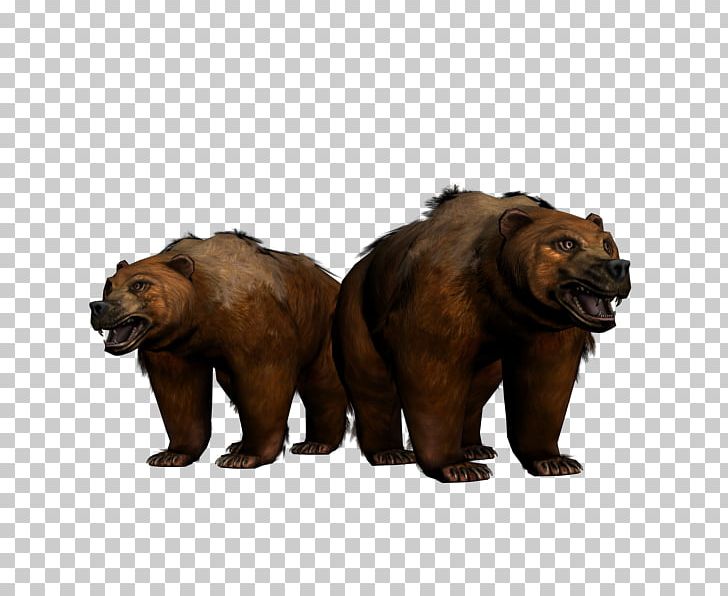 Grizzly Bear Alaska Peninsula Brown Bear Terrestrial Animal Wildlife PNG, Clipart, Alaska Peninsula Brown Bear, Animal, Animals, Bear, Bear 3d Free PNG Download