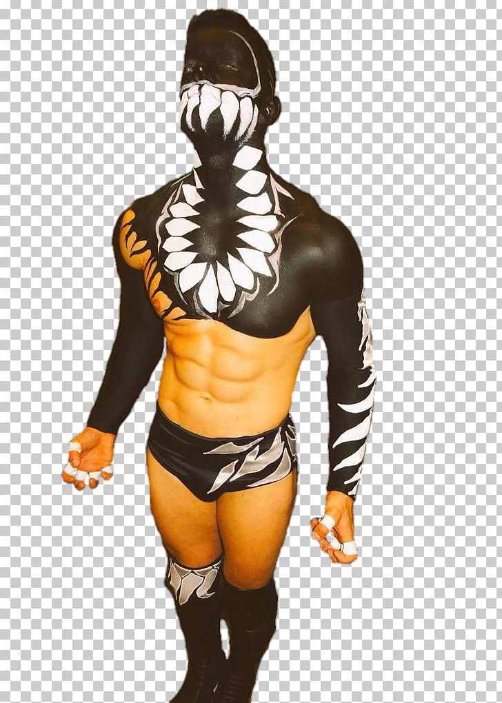 Professional Wrestling PNG, Clipart, Anime, Arm, Art, Artist, Chest Free PNG Download
