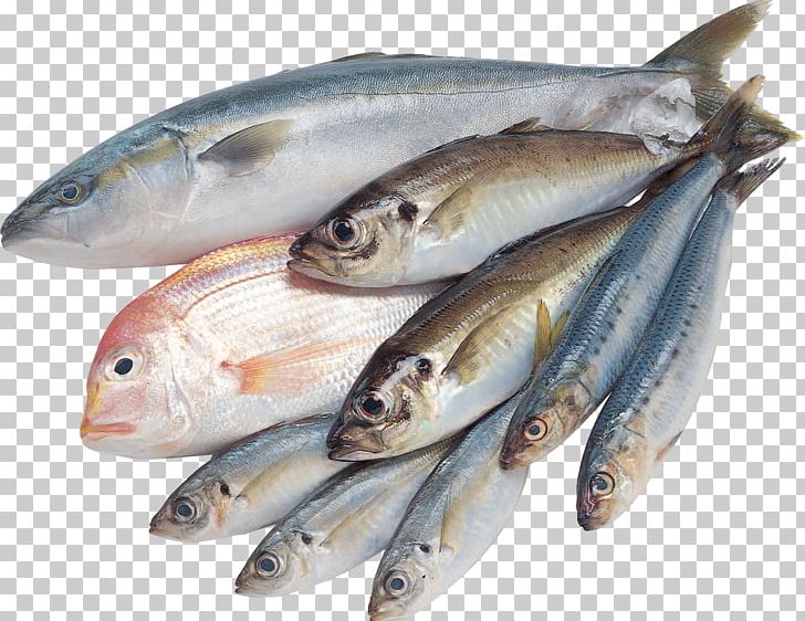 Fish PNG, Clipart, Anchovy, Animals, Animal Source Foods, Biggame Fishing, Computer Icons Free PNG Download