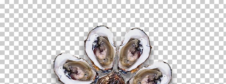 Oyster Mussel Body Jewellery PNG, Clipart, Animal Source Foods, Body Jewellery, Body Jewelry, Clams Oysters Mussels And Scallops, Food Free PNG Download