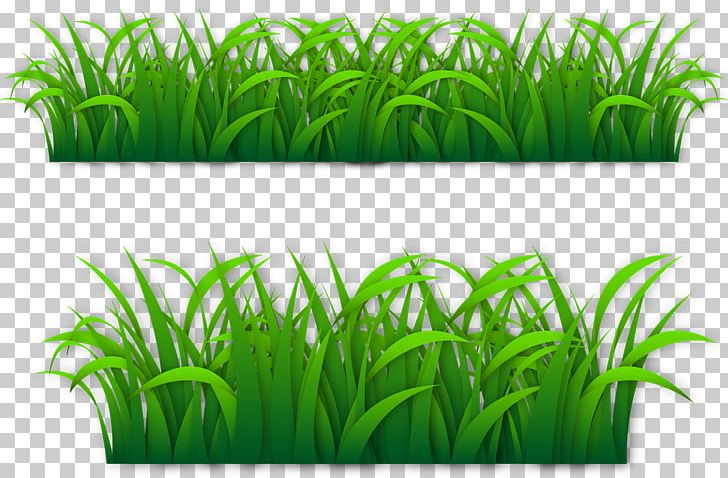 Euclidean GRASS GIS PNG, Clipart, Adobe Illustrator, Aquarium Decor, Aquatic Plant, Artificial Grass, Cartoon Grass Free PNG Download