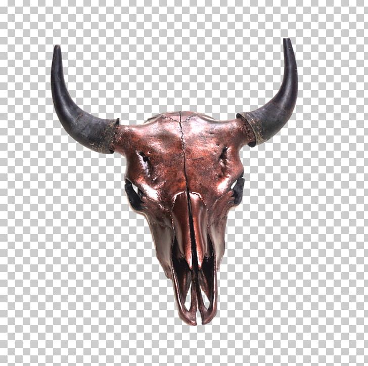 Skull American Bison Horn Cattle Hunting PNG, Clipart, American Bison, American Frontier, Bison, Blanket, Bone Free PNG Download