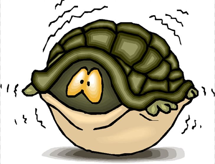 Turtle Shell Sea Turtle PNG, Clipart, Cartoon, Cuteness, Free Content, Green Sea Turtle, Human Behavior Free PNG Download