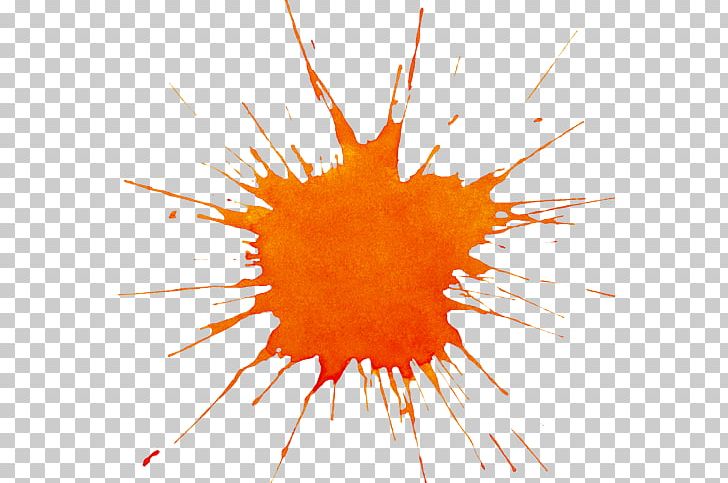 Watercolor Painting Orange Battle Park Paintball PNG, Clipart, Battle, Battle Park Paintball, Brush, Circle, Closeup Free PNG Download