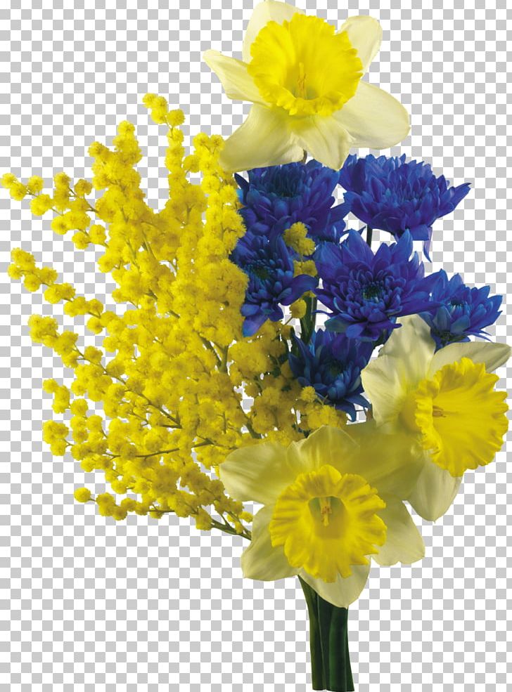 Mimosa Salad Flower Bouquet Sensitive Plant PNG, Clipart, Amaryllis Family, Cut Flowers, Daffodil, Floral Design, Floristry Free PNG Download