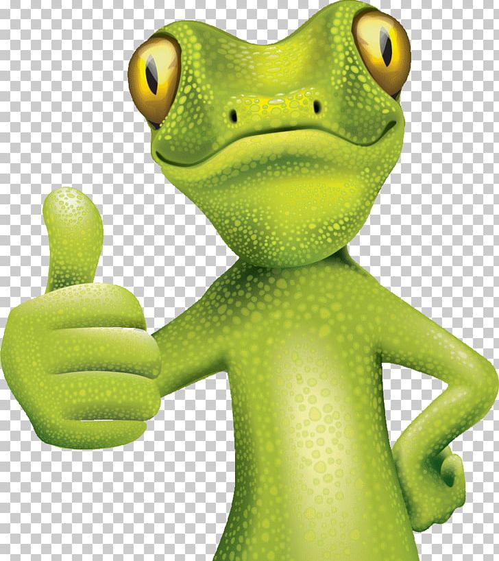 True Frog Electricity Photovoltaic System Storage Heater Efficient Energy Use PNG, Clipart, Amphibian, Bts, Cost, Efficiency, Efficient Energy Use Free PNG Download