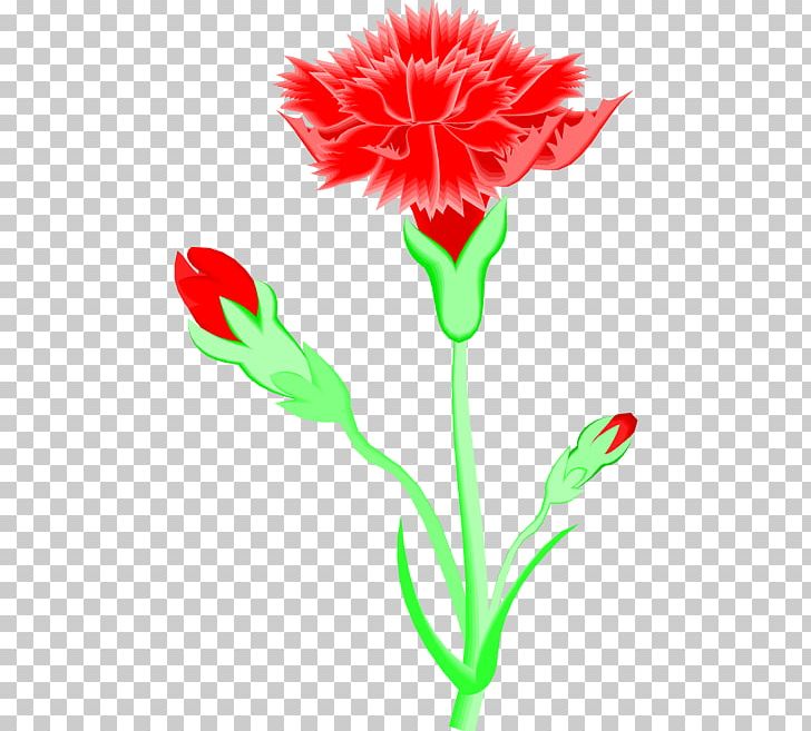 Carnation Cut Flowers PNG, Clipart, Artwork, Carnation, Caryophyllaceae, Cut Flowers, Flora Free PNG Download