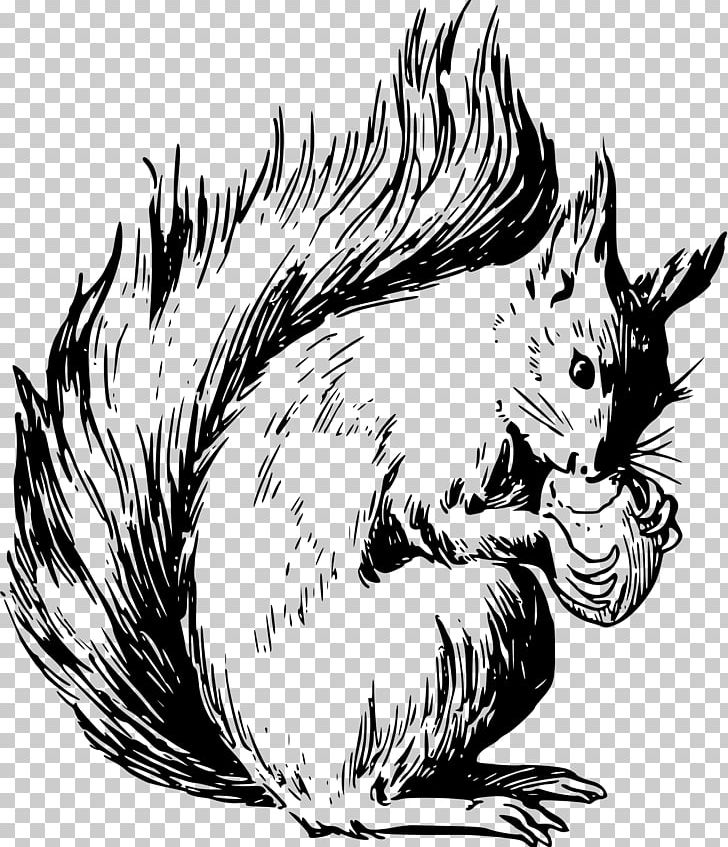 Eastern Gray Squirrel Coloring Book American Red Squirrel PNG, Clipart, Animals, Bird, Carnivoran, Cat Like Mammal, Child Free PNG Download