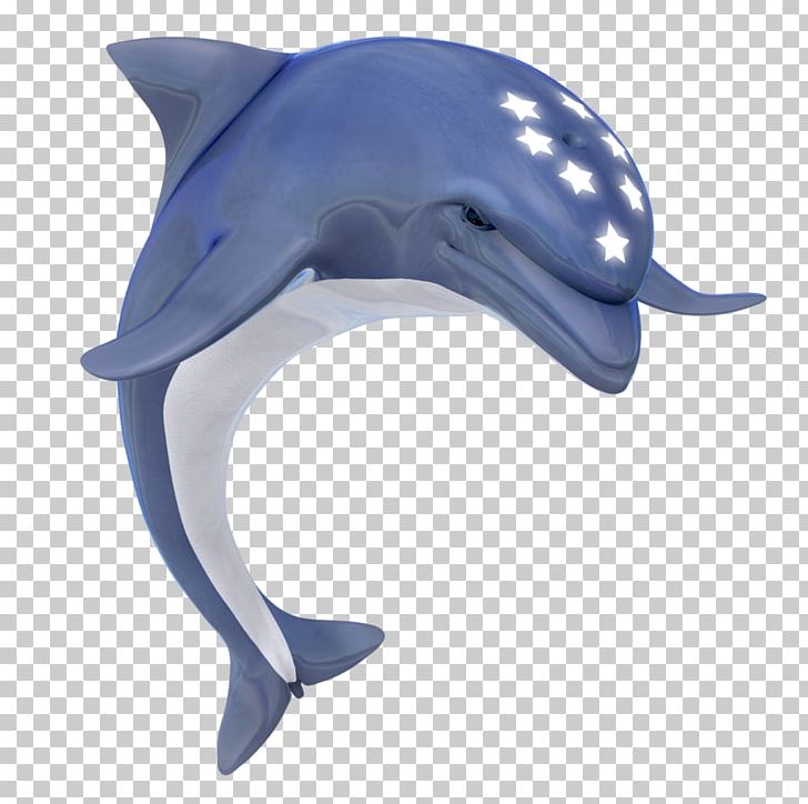 Ecco The Dolphin Common Bottlenose Dolphin La Plata Dolphin Tucuxi Rough-toothed Dolphin PNG, Clipart, Animals, Bottlenose Dolphin, Cetacea, Dolphin, Ecco The Dolphin Free PNG Download