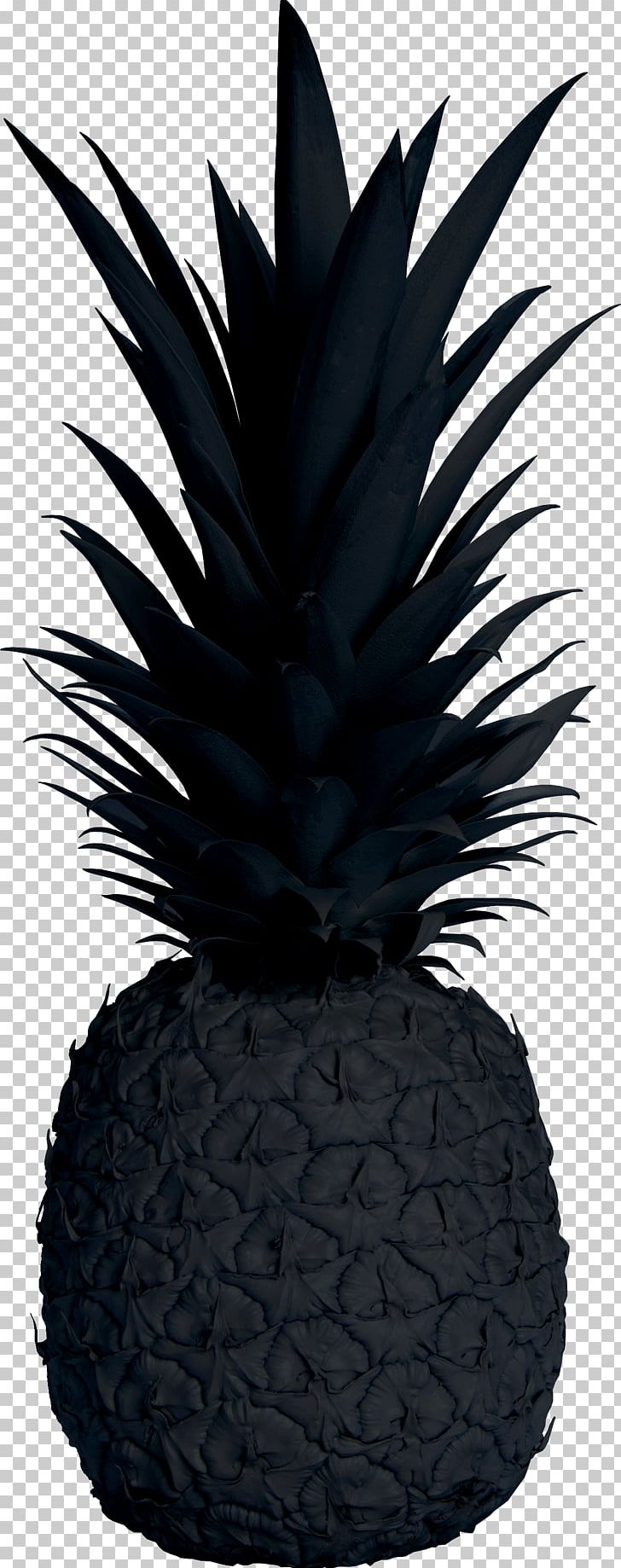 Pineapple Public Relations Black Pineapple Co Grey PNG, Clipart, Ananas, Black, Business, Chamblee, Flowerpot Free PNG Download