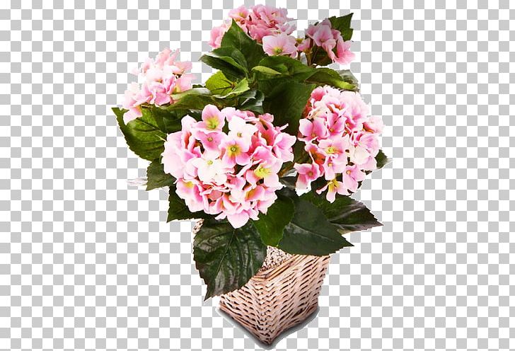 Floral Design Flowerpot Hydrangea Cut Flowers PNG, Clipart, Annual Plant, Artificial Flower, Bedroom Furniture Sets, Begonia, Blume Free PNG Download