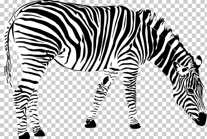 Grant's Zebra PNG, Clipart, Animal Figure, Animals, Animation, Black, Black And White Free PNG Download