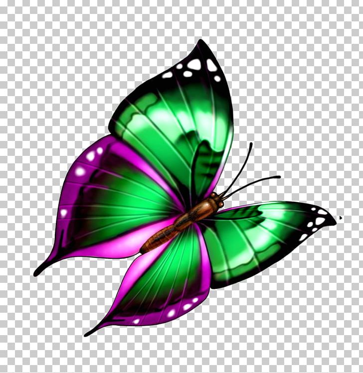 Milkweed Butterfly PNG, Clipart, Arthropod, Brush Footed Butterfly, Butterflies, Butterfly Group, Encapsulated Postscript Free PNG Download