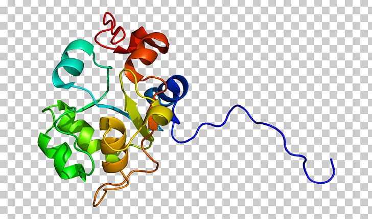 Protein–protein Interaction USP8 Ubiquitin Acid Hydrolase PNG, Clipart, Amino Acid, Animal Figure, Area, Artwork, Biochemistry Free PNG Download