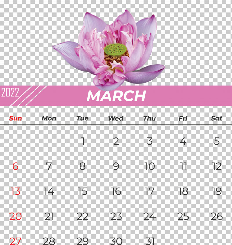 Flower Calendar Font Pink M Meter PNG, Clipart, Biology, Calendar, Flower, Meter, Pink M Free PNG Download