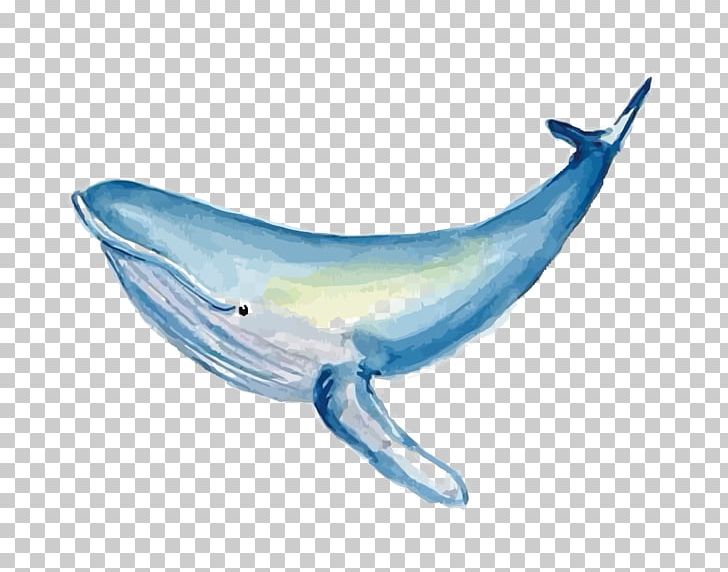 Common Bottlenose Dolphin Watercolor Painting Whale PNG, Clipart, Animal, Animals, Blue, Cartoon, Electric Blue Free PNG Download