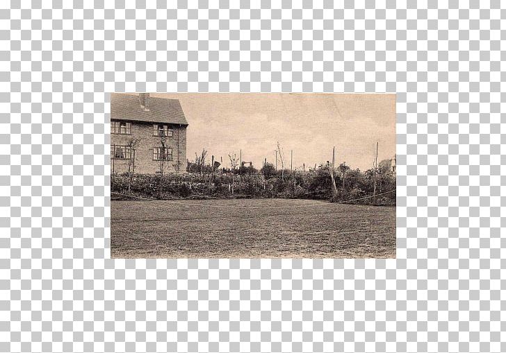 Hampstead Garden Suburb Hampstead Heath The Bishops Avenue Photography PNG, Clipart, Hampstead, Hampstead Heath, Hoyle Court Avenue, Land Lot, London Free PNG Download