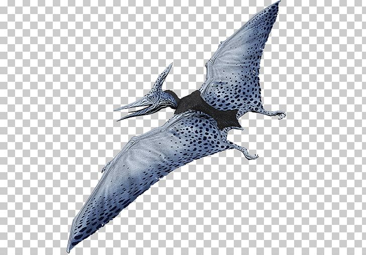 Pteranodon Primal Carnage: Extinction Triceratops PNG, Clipart, Carnage, Dinosaur, Extinction, Fantasy, Fauna Free PNG Download